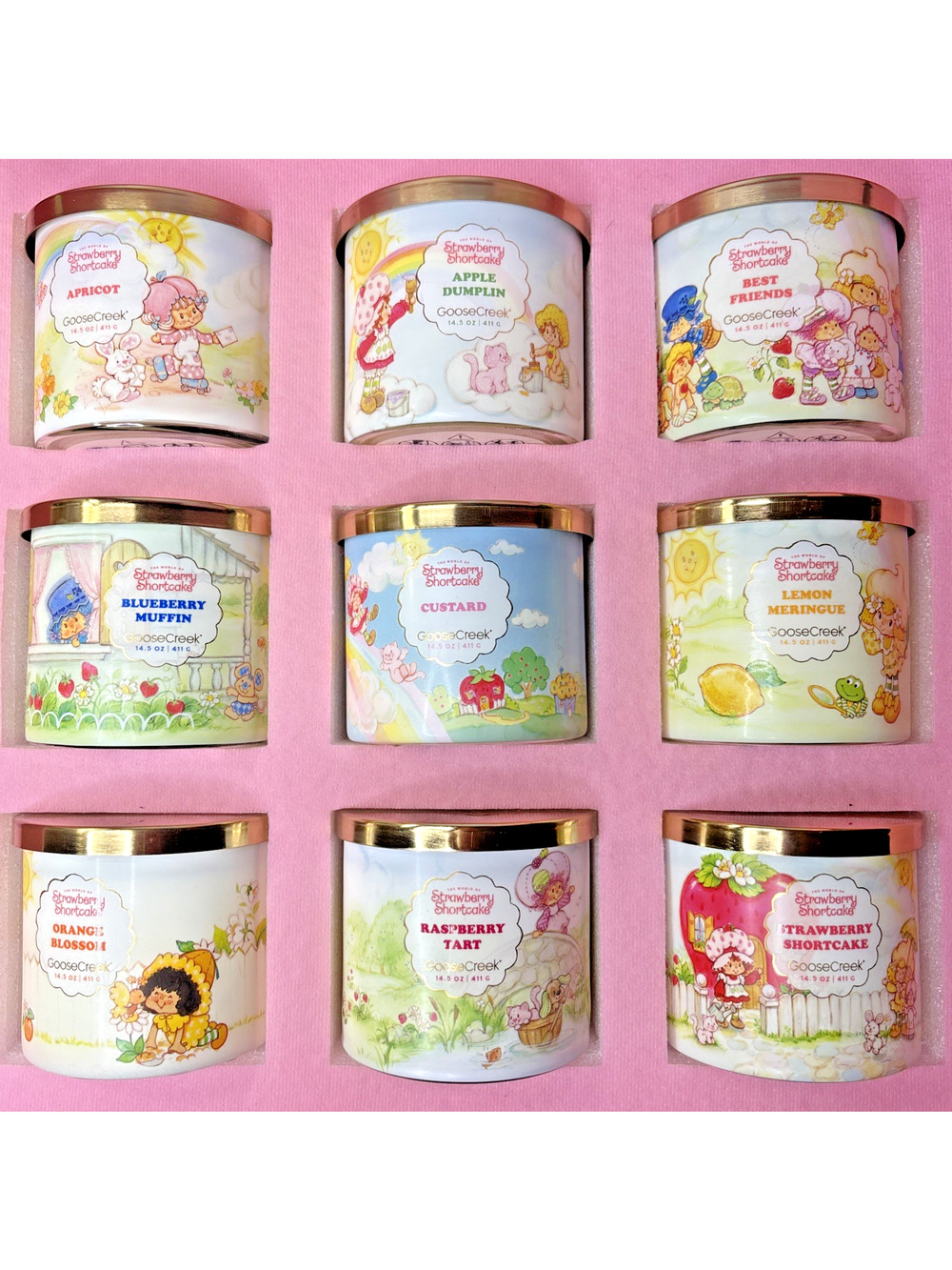 Goose Creek Strawberry Shortcake Candles Open Box Set All 9